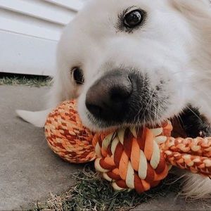 Meet your Posher, Amelia